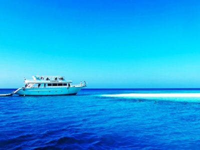 Ras Mohamed Snorkeling Tour From Sharm Port
