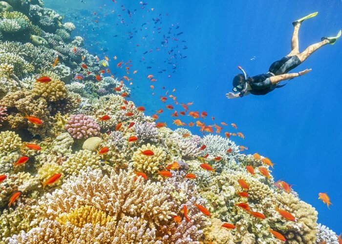Ras Mohamed Snorkeling Tour