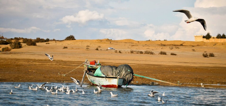 Fayoum Oasis