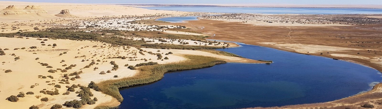 Fayoum Oasis