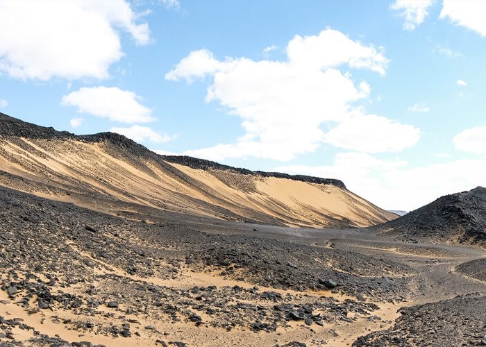 Black Desert