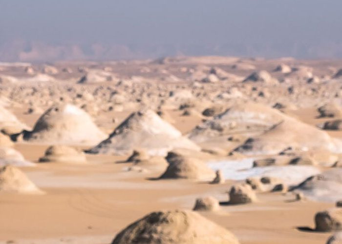 Bahariya Oasis
