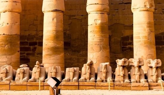 Ancient sphinxes lining a grand avenue.