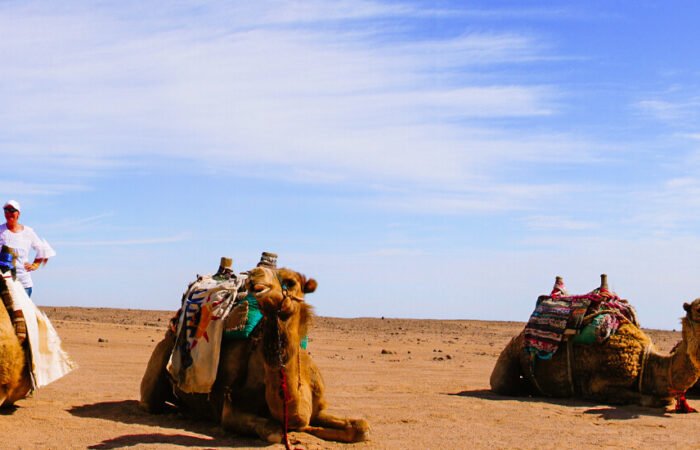 Things to Do in Egypt